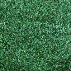 Штучна трава Condor Grass EMONDA 30/15