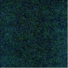 Ковролін офісний Picasso/Malevich 6619 зелений