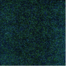 Ковролін офісний Picasso/Malevich 6619 зелений