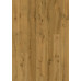 Ламінат Q-ST Impressive 4V 8mm/32кл. Дуб трюфель  IM8256