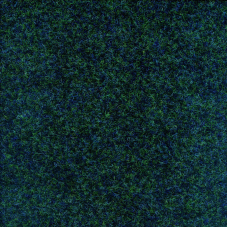 Ковролін офісний Picasso/Malevich 2236 Чорний