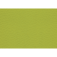 Спортивний лінолеум LG Sport Leisure 4.0 Solid / Green LES6601