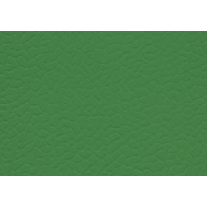 Спортивний лінолеум LG Sport Leisure 4.0 Solid / Dark Green LES6606