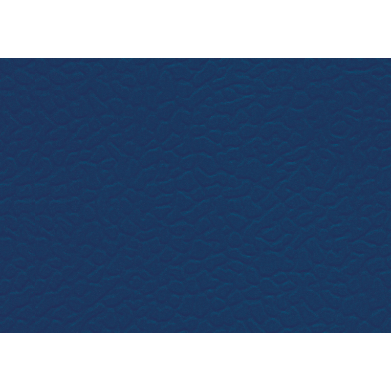 Спортивний лінолеум LG Sport Leisure 4.0 Solid/Blue LES6400