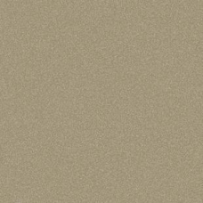 Комерційний гетерогенний лінолеум STELLA ST-4