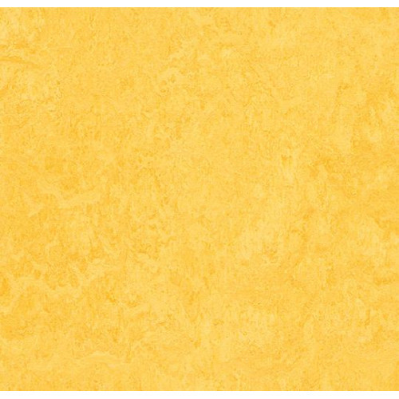 Натуральний лінолеум Marmoleum Fresco 3251 (2,5 мм)