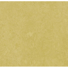 Натуральний лінолеум Marmoleum Fresco 3259 (2,5 мм)