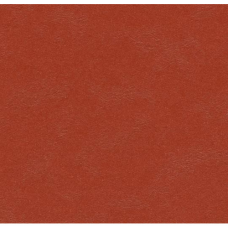 Натуральний лінолеум Marmoleum Walton 3352 (2,5 мм)