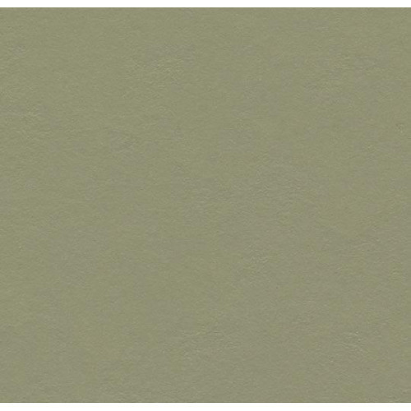 Натуральний лінолеум Marmoleum Walton 3355 (2,5 мм)