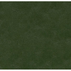 Натуральний лінолеум Marmoleum Walton 3359 (2,5 мм)