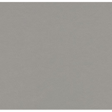 Натуральний лінолеум Marmoleum Walton 3367 (2,5 мм)